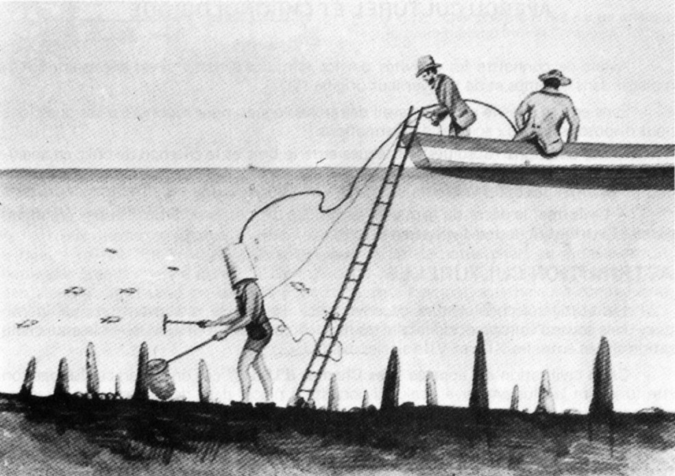 La pêche aux « antiquités lacustres » au XIX<sup>ème</sup> siècle, d'après une gravure ancienne in « Il y a 3 000 ans. Les artisans du Lac du Bourget à la fin de l'âge du Bronze »