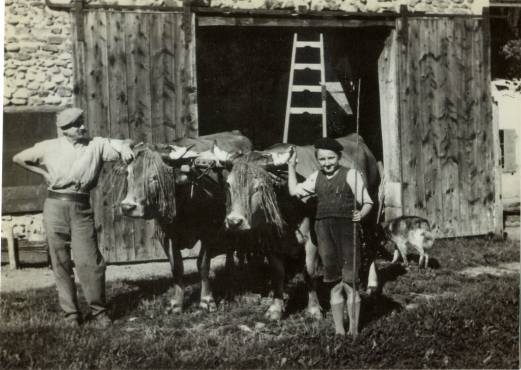 Attelage dans les années 30 (collection famille Picon et Kronos)  