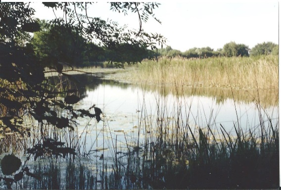 LeLes étangs de Crosagnys étangs de Crosagny