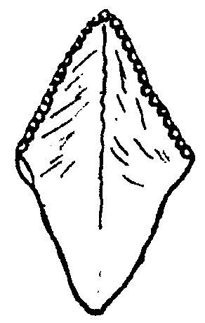 Forme losangique ; L : 39 mm ; 1 : 23 mm ; retouches sur les deux faces ; arêtes supérieures portent des retouches verticales (aspect finement dentelé) ; roche : silex