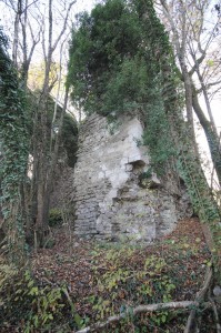 ruines_montfalcon
